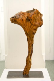 2005