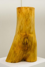2005, Lindenholz